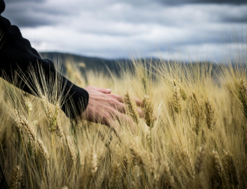 11/30/25 粵語崇拜: 人居然奪取神之物？