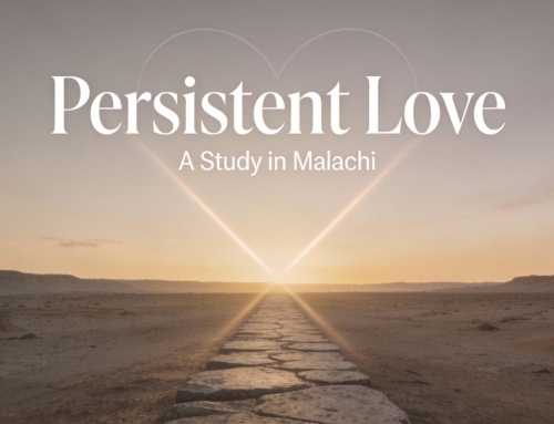 12/28 English Service  –  A Love We Question