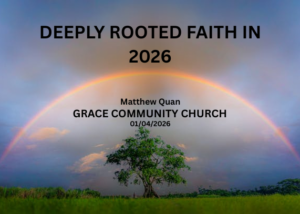 Rainbow above a tree