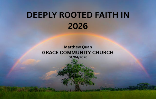 Rainbow above a tree